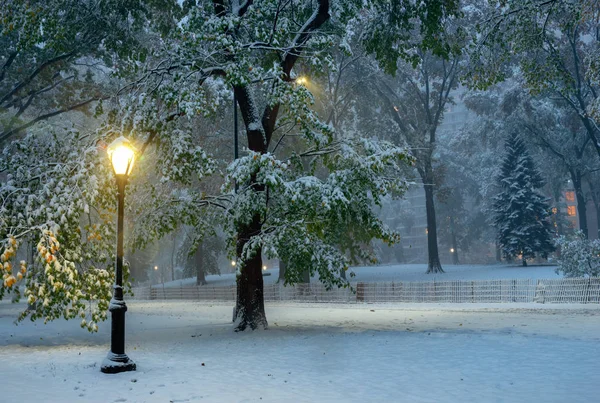 Paisagem Inverno Central Park Nova York Eua — Fotografia de Stock