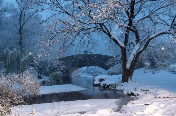 Most Gapstow Okresie Zimowym Nowojorski Central Park Stany Zjednoczone Ameryki — Zdjęcie stockowe