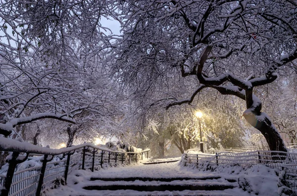 Kış Manzarası Central Park New York City Amerika Birleşik Devletleri — Stok fotoğraf