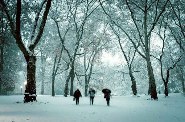 Winter Landscape Central Park New York City Usa — Stock Photo, Image