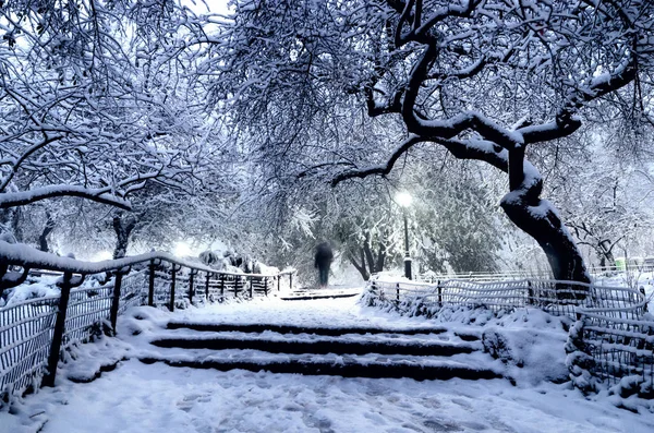 Central Park Kış Manzarası New York Abd — Stok fotoğraf