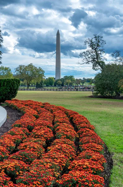 华盛顿特区 2018年10月20日 华盛顿特区的华盛顿纪念碑 — 图库照片