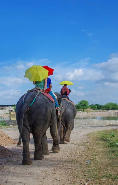 Jaipur Indie Wrzesień 2013 Elephant Jeździć Elefant Wieś Jaipur Rajasthan — Zdjęcie stockowe