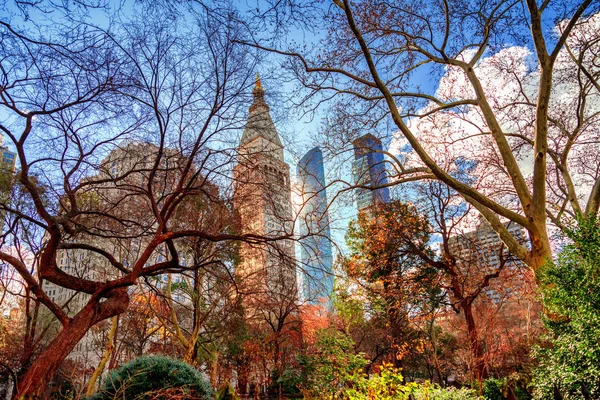 Skyline Van New York Vanuit Madison Square Park Manhattan New — Stockfoto
