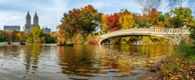 Central Park'ta yay bridge ile sonbahar manzara panoramik manzaralı. New York şehri. ABD