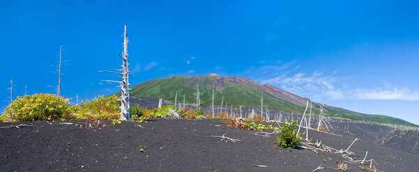 Volcano Tyatya on island Kunashir, Kurily, Russia