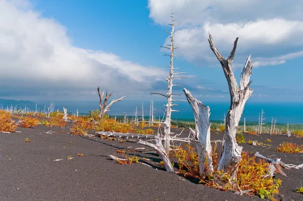 Volcan Tyatya sur l'île de Kunashir, Kurily, Russie — Photo