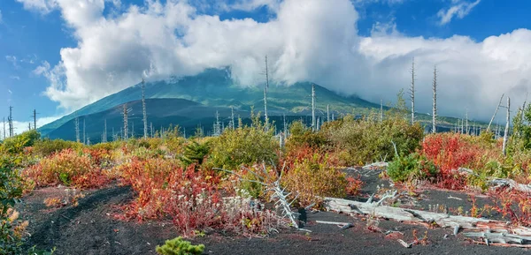 Volcán Tyatya en la isla Kunashir, Kurily, Rusia — Foto de Stock