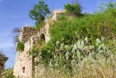 Lifta, İsrail 