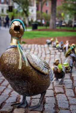 Boston Halk Bahçesi'nde 