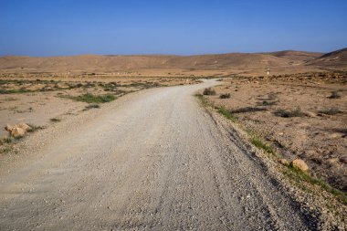 Makhtesh (krater) Ramon, İsrail 'in güneyindeki Negev Çölü' nde büyük bir erozyon sirkinin jeolojik yapısıdır.