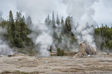 Yellowstone Milli Parkı'ndaki dev gayzer. Abd
