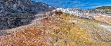 Yellowstone Ulusal Parkı 'ndaki Mamut Kaplıcaları. ABD