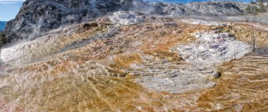 Yellowstone Ulusal Parkı 'ndaki Mamut Kaplıcaları. ABD