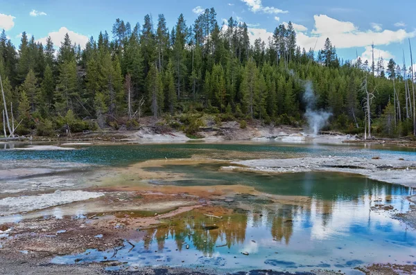 Norris geyser basin in  Yellowstone National park, USA — Stock Photo, Image
