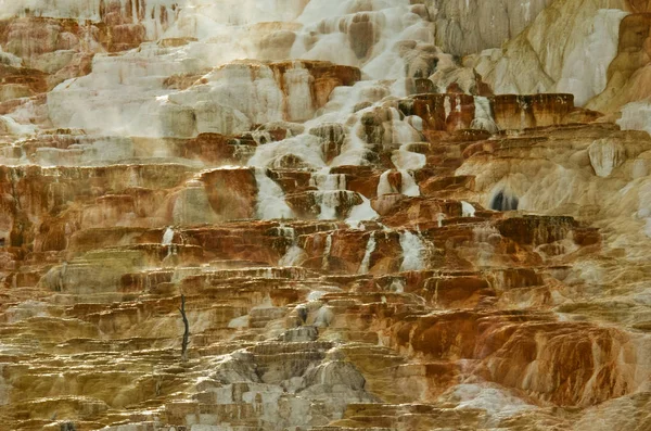 옐로스톤 국립 공원의 맘모스 온천. 미국 — 스톡 사진