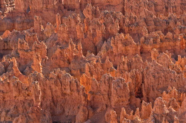 Piękny krajobraz z bryce canyon, utah, Stany Zjednoczone Ameryki — Zdjęcie stockowe