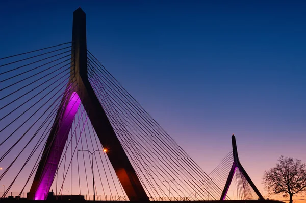 Zakim Bunker Hill Memorial Bridge Nuit Boston Massachusetts Usa — Photo