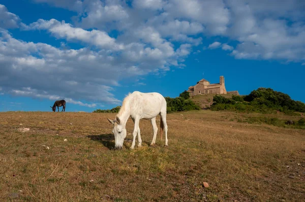 Sant Llorenc Del Munt Benediktinský Klášter Katalánsko Španělsko — Stock fotografie