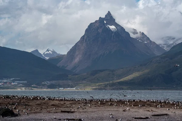 Utsikt Över Ushuaia Tierra Del Fuego Argentina — Stockfoto