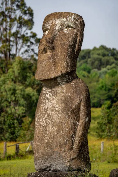 Rapa Nui Deki Ahu Akivi Paskalya Adası Şili Nin Valparaso — Stok fotoğraf