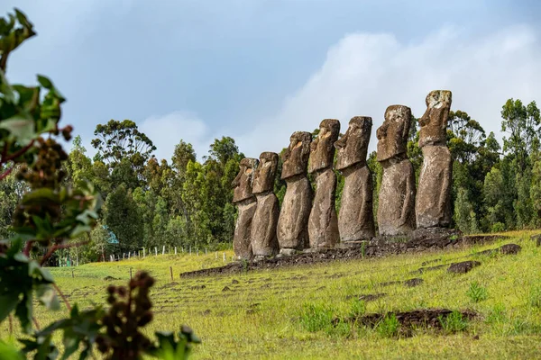 智利Valparaso地区Rapa Nui 或复活节岛 的Ahu Akivi 这个地点有7个莫艾 大小和形状都一样 也被称为天体观测台 — 图库照片