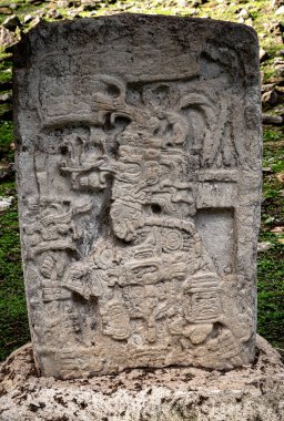 Meksika 'nın Chiapas eyaletindeki Usumacinta nehrinin kıyısında yer alan antik Maya şehri Yaxchilan' da Bas-relief..