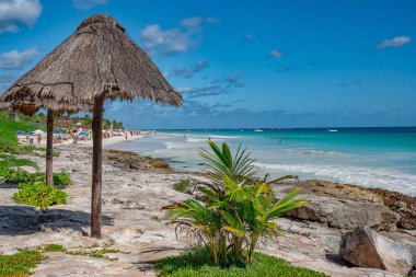 Karayip Denizi 'ndeki Tropik Plaj manzarası. Yucatan, Meksika.