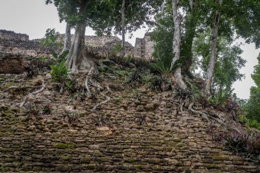 Dzibanche, Quintana Roo 'nun güneyindeki Yucatan Yarımadası' nda bulunan antik Maya uygarlığının arkeolojik bir yeridir..