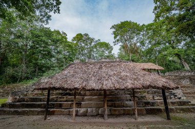 Dzibanche, Quintana Roo 'nun güneyindeki Yucatan Yarımadası' nda bulunan antik Maya uygarlığının arkeolojik bir yeridir..