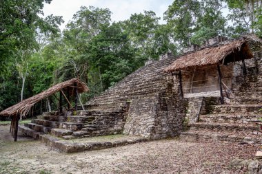 Dzibanche, Quintana Roo 'nun güneyindeki Yucatan Yarımadası' nda bulunan antik Maya uygarlığının arkeolojik bir yeridir..
