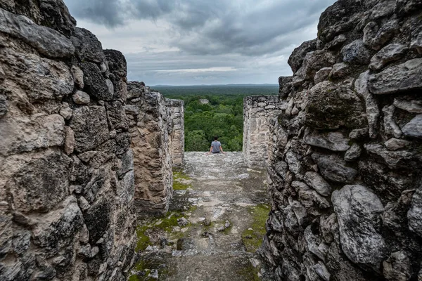 カラクムル Calakmul メキシコのカンペチェ州にあるマヤ遺跡である — ストック写真