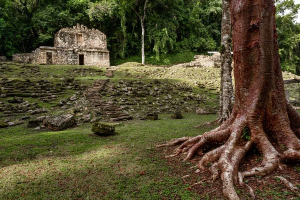 Yaxchilan Una Antigua Ciudad Maya Ubicada Orillas Del Río Usumacinta — Foto de Stock