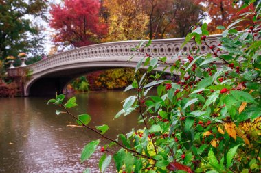 Central Park 'taki Bow Köprüsü ile sonbahar manzarası. New York 'ta. ABD