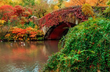 Central Park 'taki sonbahar manzarası. Gapstow Köprüsü, New York. ABD