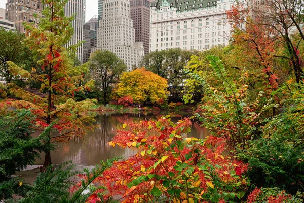 Uitzicht Het Herfstlandschap Central Park New York City Verenigde Staten — Stockfoto