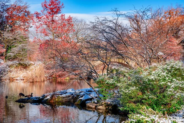 Вид Осенний Пейзаж Центральном Парке Мост Гапстоу Нью Йорк Сша — стоковое фото