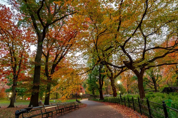 Pohled Podzimní Krajinu Central Parku New York City Usa — Stock fotografie