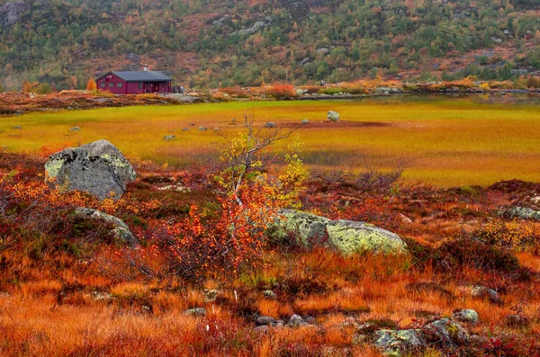 Ländliche Berghütten Den Bergen Norwegen — Stockfoto