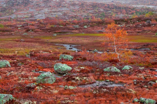 Осенние Пейзажи Горах Норвегия — стоковое фото