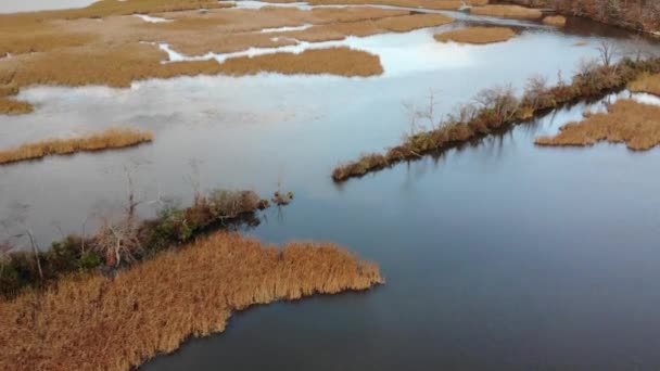 Costituzione Marsh acqua dolce e salmastra marea sponde orientali del fiume Hudson a Garrison, New York, Stati Uniti — Video Stock