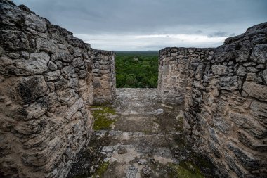 Calakmul (Kalakmul), Meksika 'nın Campeche eyaletinde bir Maya arkeolojik alanıdır.