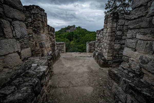 カラクムル Calakmul メキシコのカンペチェ州にあるマヤ遺跡である — ストック写真
