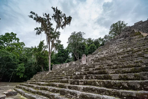 Calakmul Kalakmul Sitio Arqueológico Maya Estado Mexicano Campeche — Foto de Stock