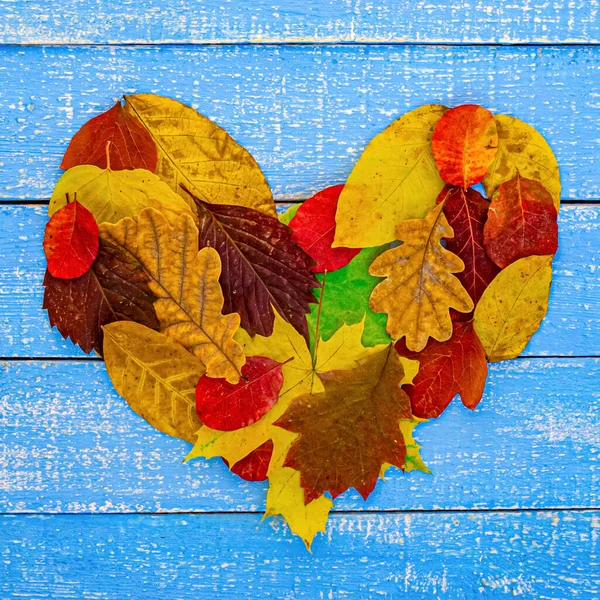 Herbstliches Herz Auf Blauem Holzgrund — Stockfoto