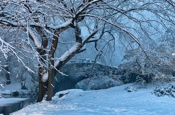 Vista Ponte Gapstow Durante Inverno Central Park New York City — Fotografia de Stock