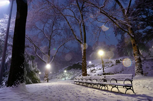 Zimní Krajina Central Parku New York City Usa — Stock fotografie
