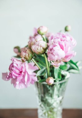 Vazoda pembe bir peonie buketi.