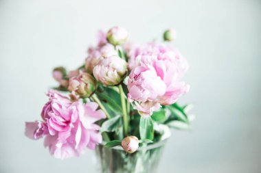 Vazoda pembe bir peonie buketi.