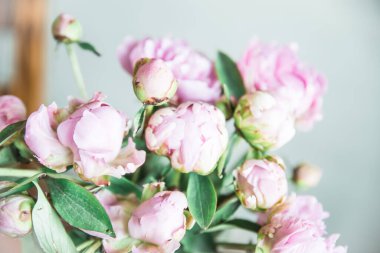 Vazoda pembe bir peonie buketi.